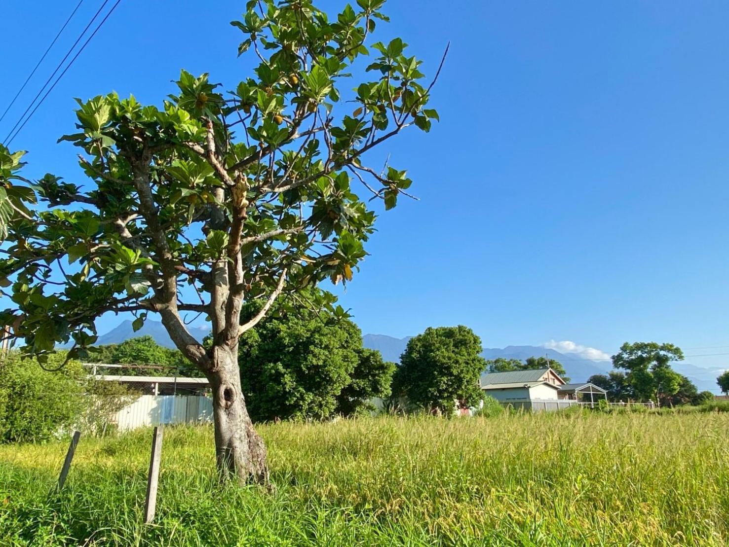 Najima B&B Ji'an Extérieur photo